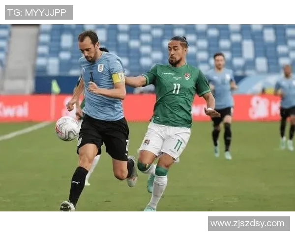 澳洲与秘鲁上半场比赛中主队犯规次数对比分析