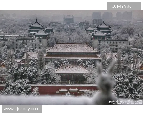 北京迎来初雪,本年的雪季行情会好吗?